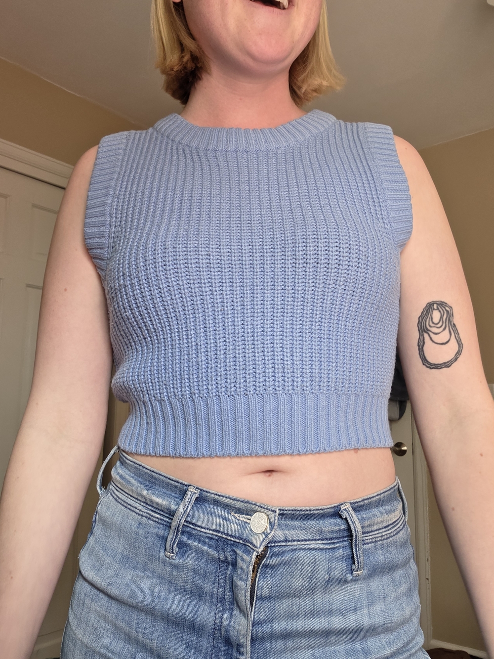 H&M Periwinkle Cropped Knit Shell